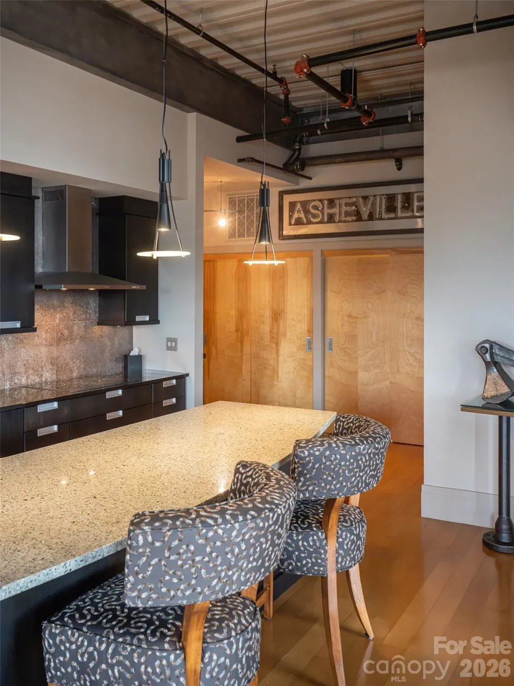 12 S Lexington Avenue #407 Asheville, NC 28801