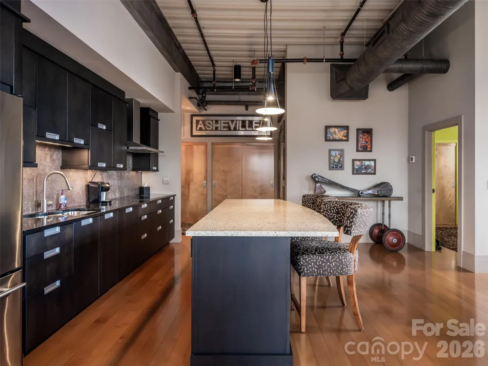 12 S Lexington Avenue #407 Asheville, NC 28801