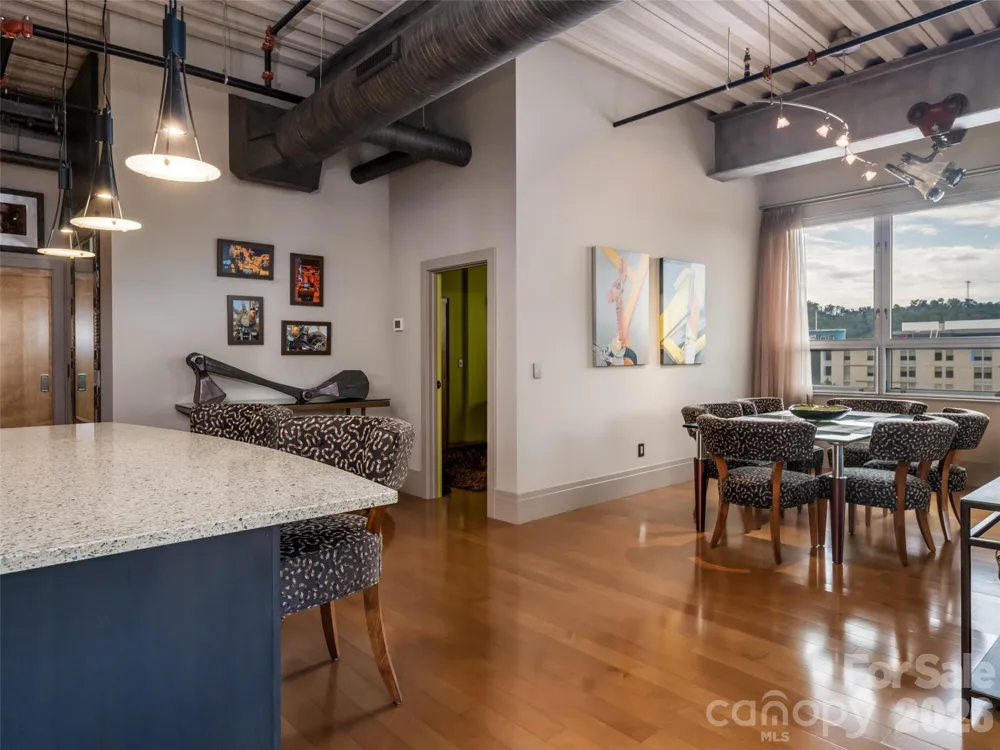 12 S Lexington Avenue #407 Asheville, NC 28801