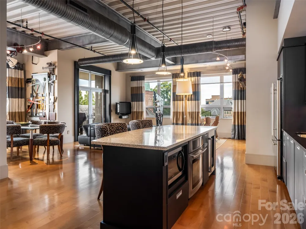 12 S Lexington Avenue #407 Asheville, NC 28801