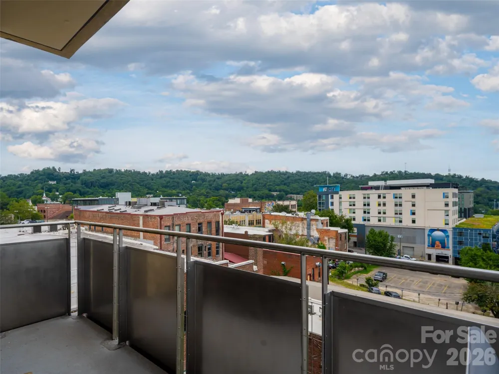 12 S Lexington Avenue #407 Asheville, NC 28801