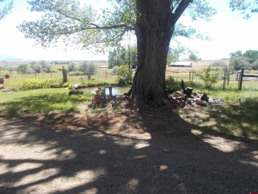 21100 RW W Lewis, CO 81327