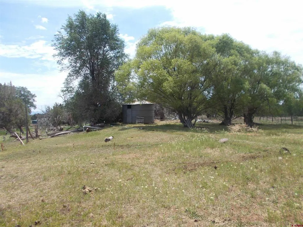 21100 RW W Lewis, CO 81327