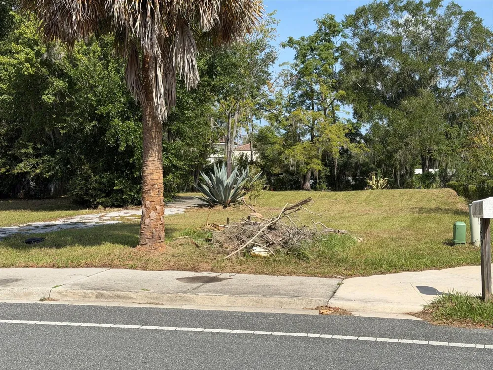 121 W LEMON STREET Lady Lake, FL 32159