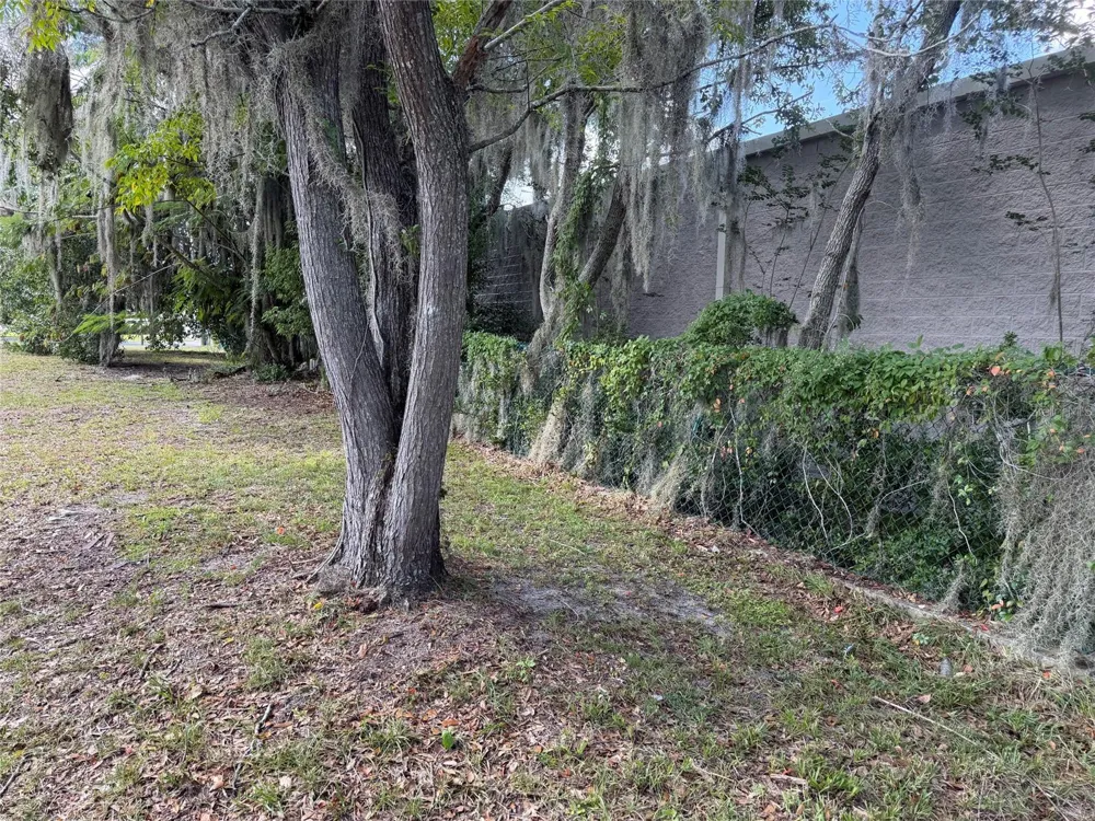 121 W LEMON STREET Lady Lake, FL 32159