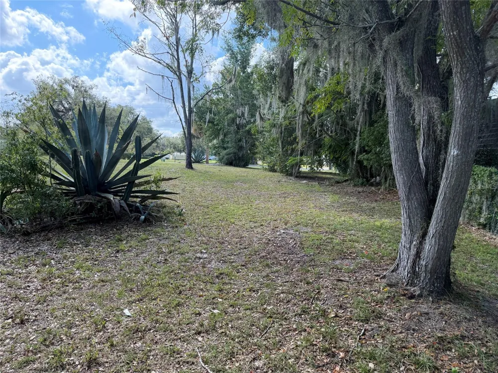 121 W LEMON STREET Lady Lake, FL 32159