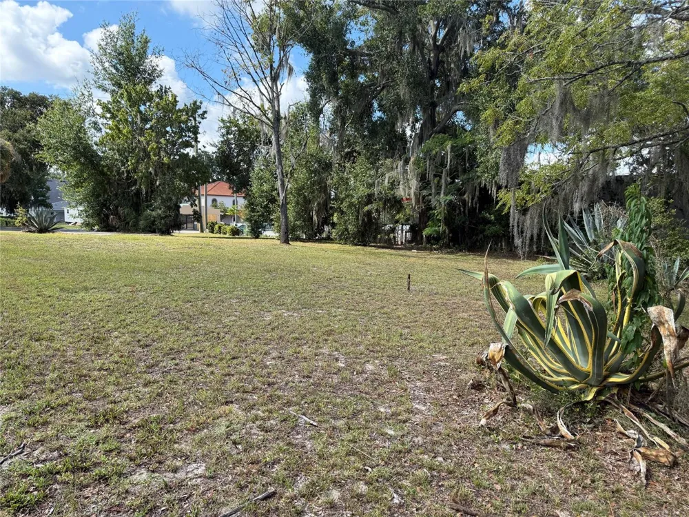 121 W LEMON STREET Lady Lake, FL 32159