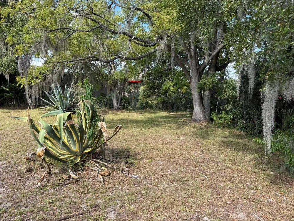 121 W LEMON STREET Lady Lake, FL 32159