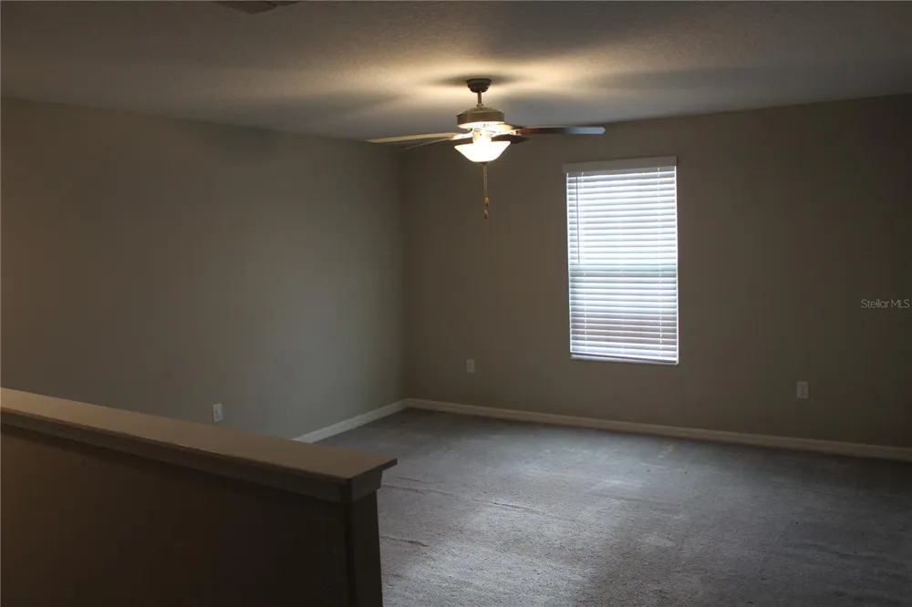 12916 WILDFLOWER MEADOW DRIVE Riverview, FL 33579