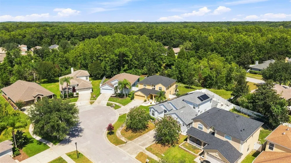 15731 CEDAR ELM TERRACE Land O Lakes, FL 34638