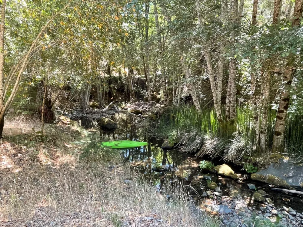 3490 Laytonville Dos Rios Road Laytonville, CA 95454