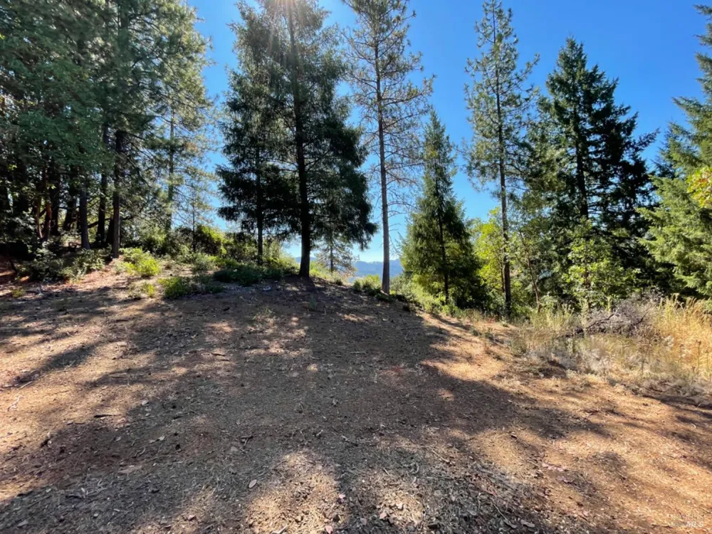 3490 Laytonville Dos Rios Road Laytonville, CA 95454
