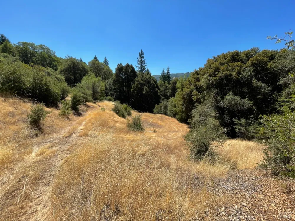 3490 Laytonville Dos Rios Road Laytonville, CA 95454