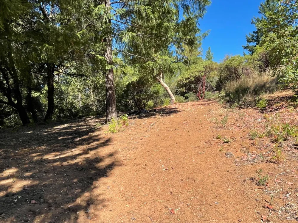 3490 Laytonville Dos Rios Road Laytonville, CA 95454