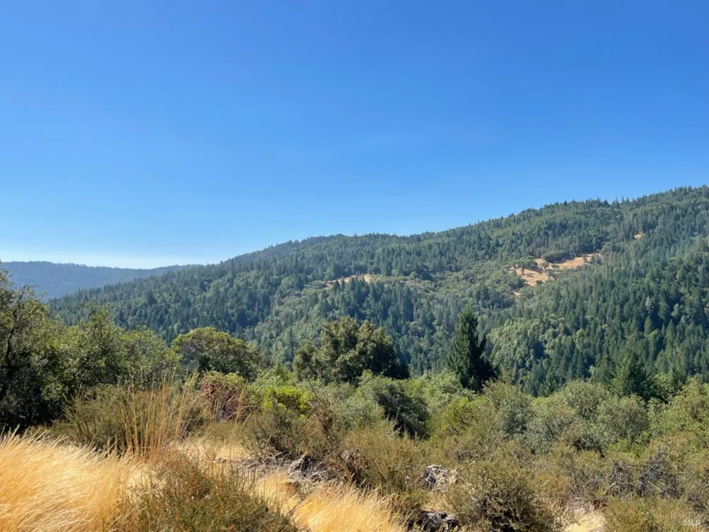 3490 Laytonville Dos Rios Road Laytonville, CA 95454