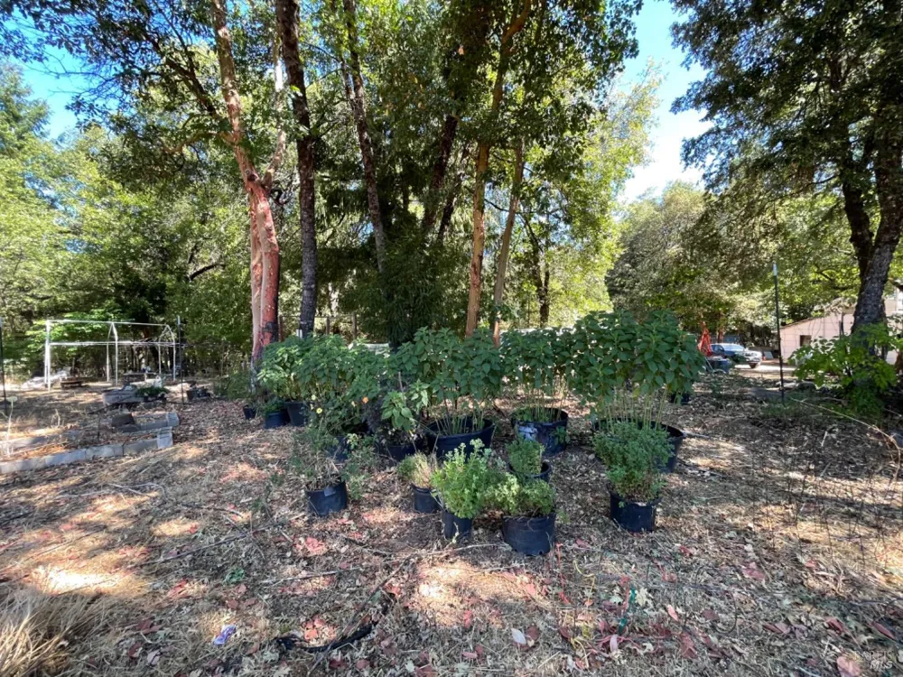 3490 Laytonville Dos Rios Road Laytonville, CA 95454
