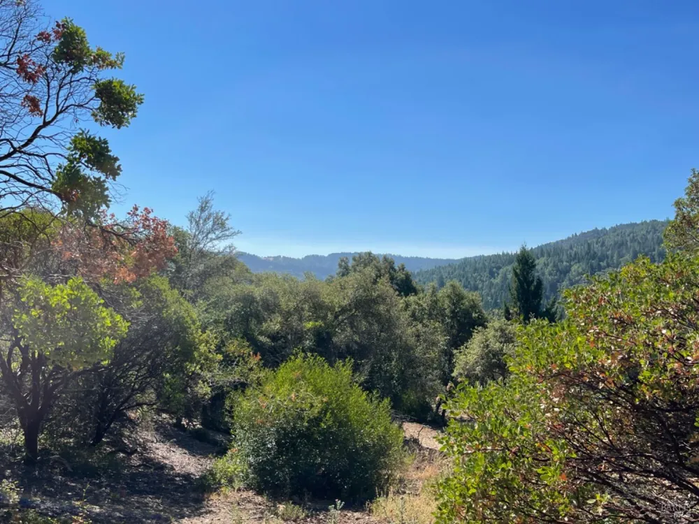 3490 Laytonville Dos Rios Road Laytonville, CA 95454