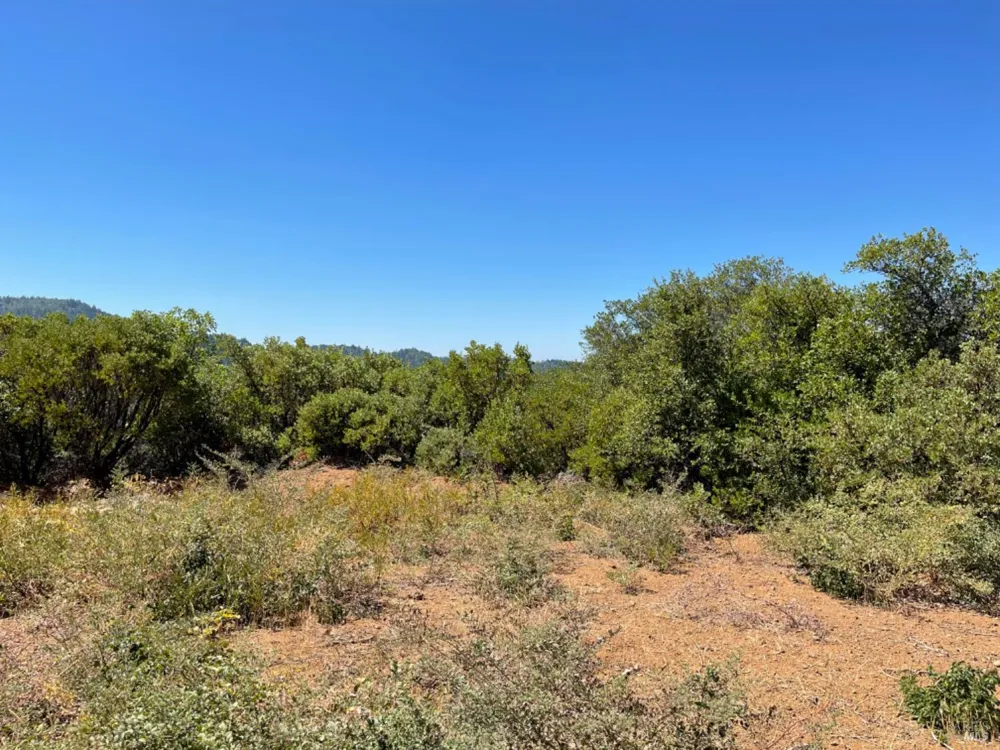 3490 Laytonville Dos Rios Road Laytonville, CA 95454