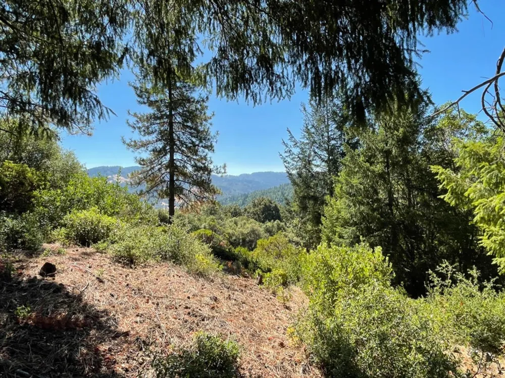 3490 Laytonville Dos Rios Road Laytonville, CA 95454