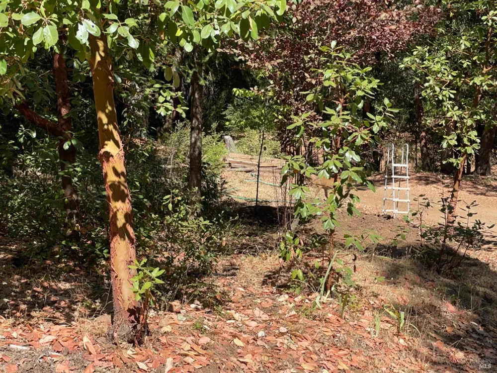 3490 Laytonville Dos Rios Road Laytonville, CA 95454