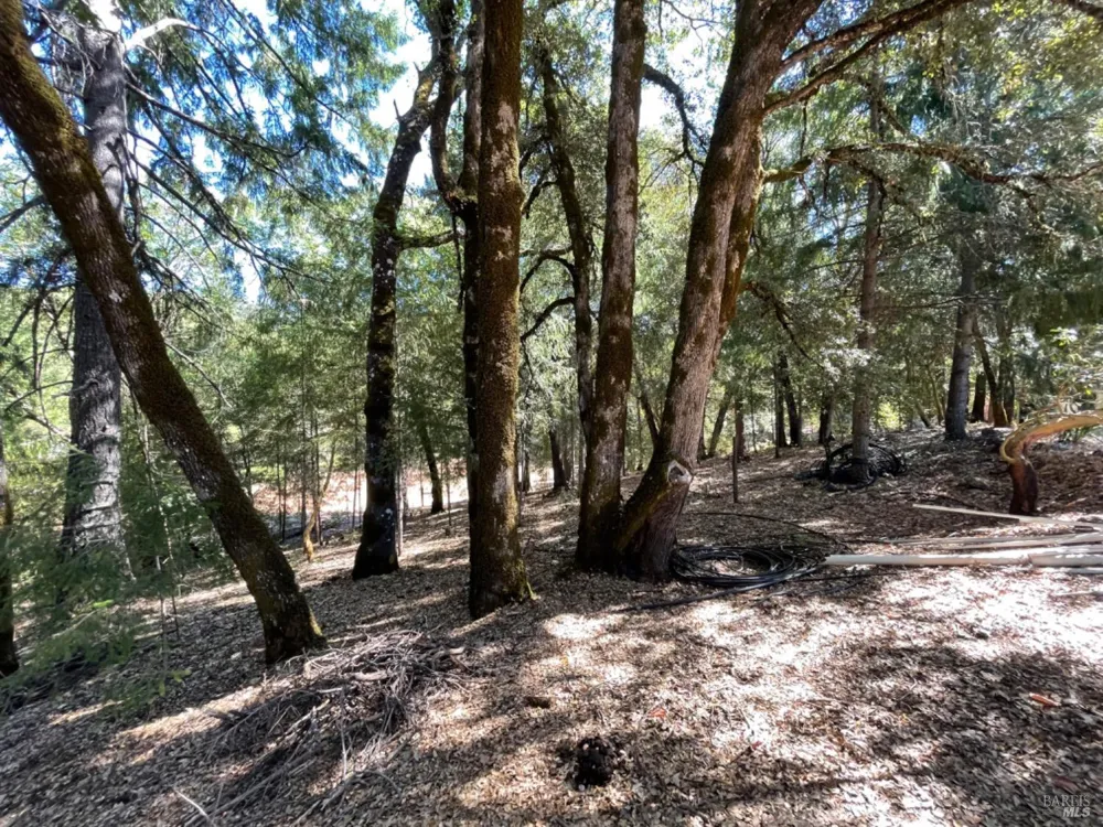 3490 Laytonville Dos Rios Road Laytonville, CA 95454