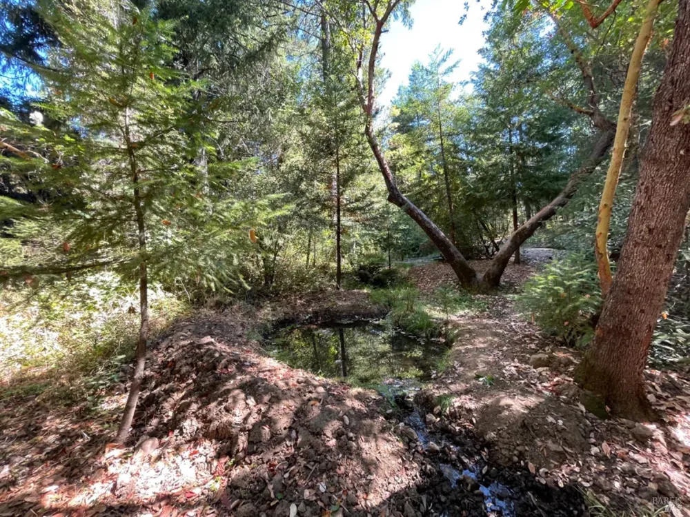3490 Laytonville Dos Rios Road Laytonville, CA 95454