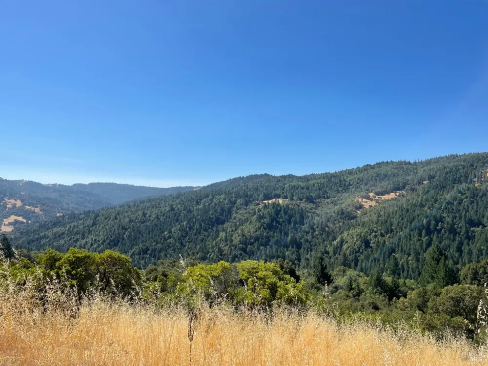 3490 Laytonville Dos Rios Road Laytonville, CA 95454