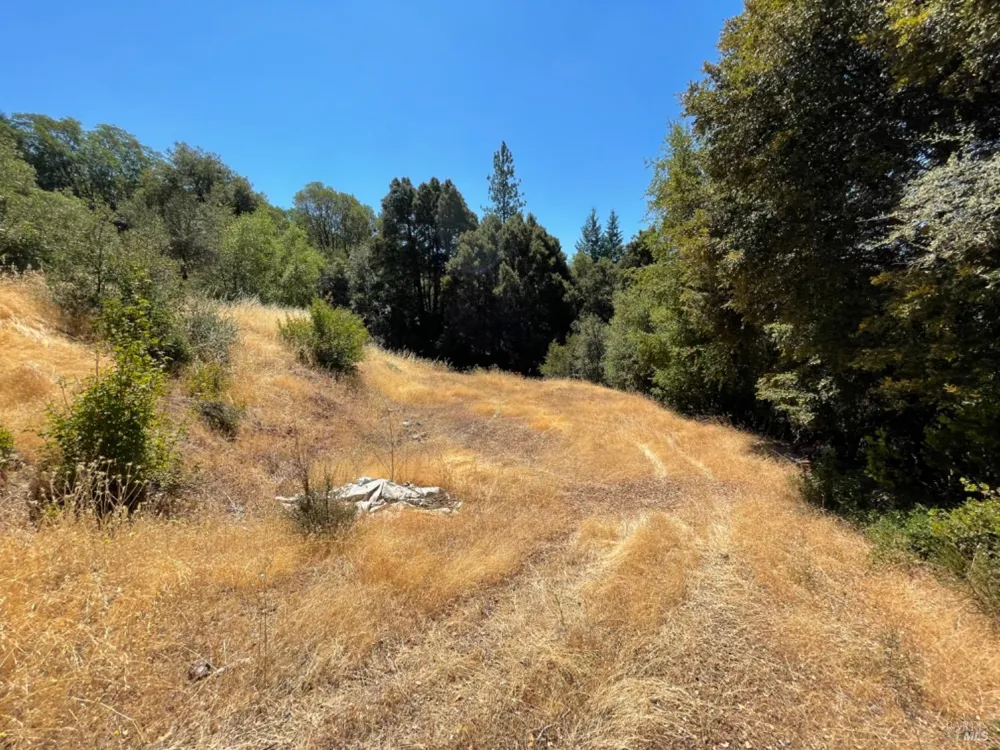 3490 Laytonville Dos Rios Road Laytonville, CA 95454