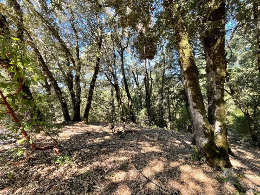 3490 Laytonville Dos Rios Road Laytonville, CA 95454