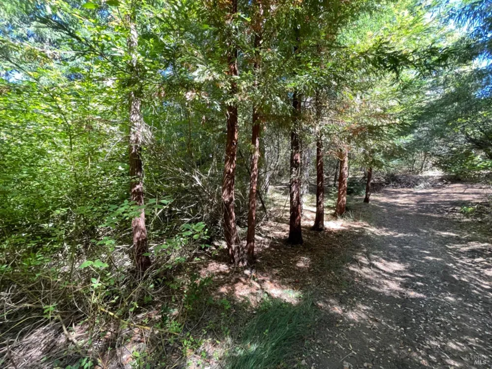 3490 Laytonville Dos Rios Road Laytonville, CA 95454