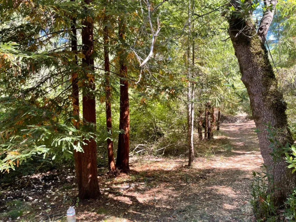 3490 Laytonville Dos Rios Road Laytonville, CA 95454