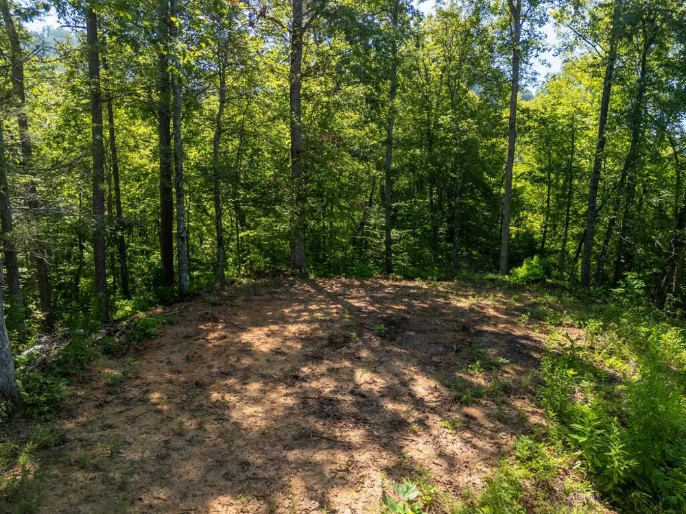 Claude Cook Road Sylva, NC 28779