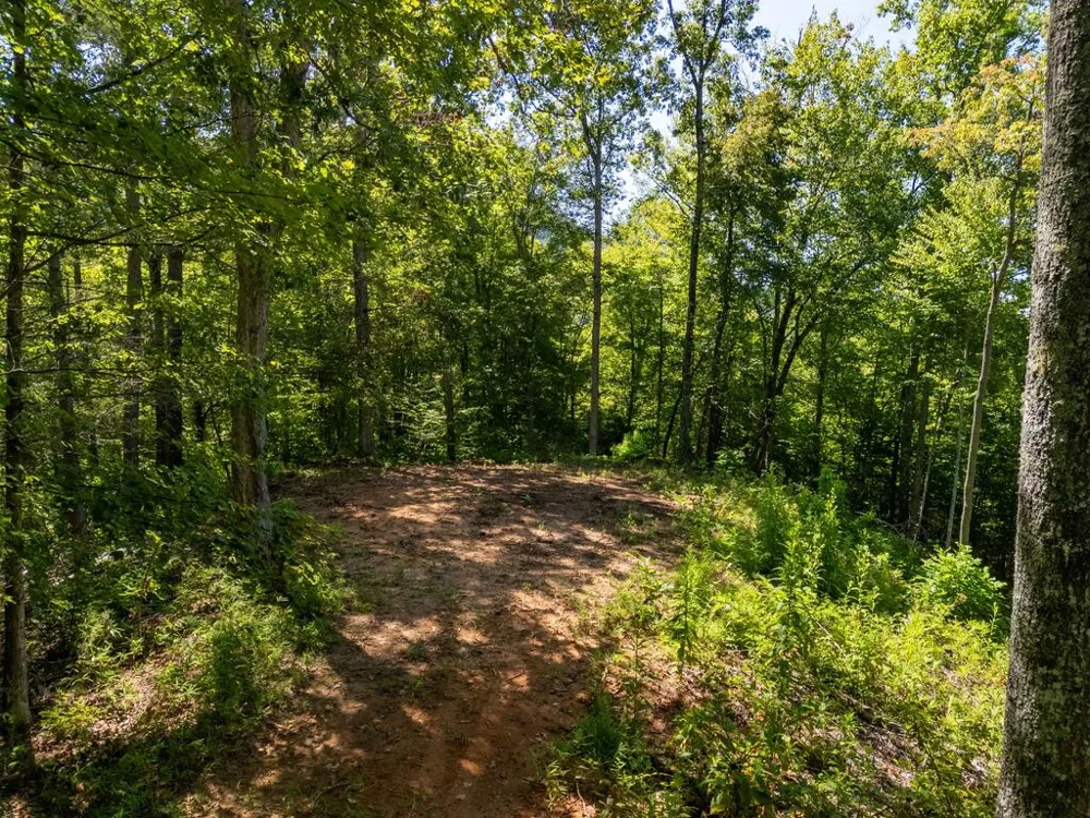 Claude Cook Road Sylva, NC 28779