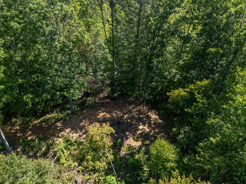 Claude Cook Road Sylva, NC 28779