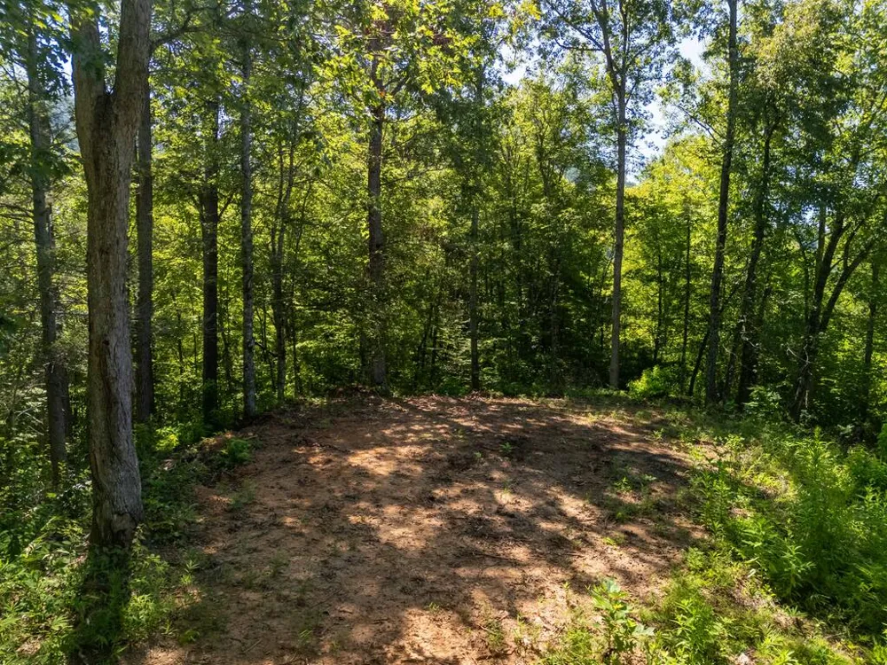 Claude Cook Road Sylva, NC 28779