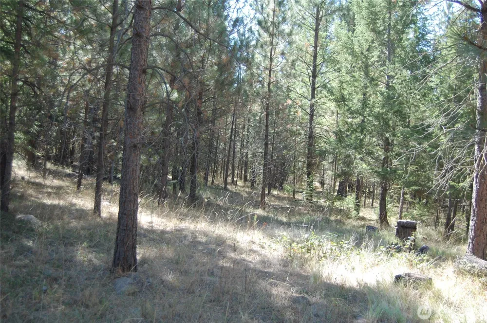 144 Cheif Joseph Trail Riverside, WA 98849