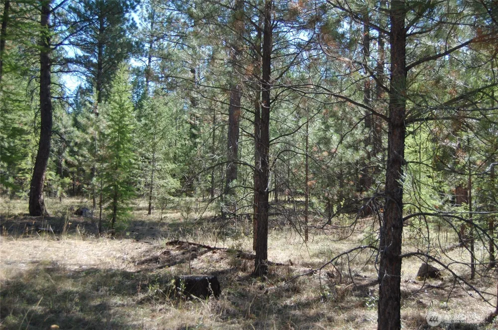 144 Cheif Joseph Trail Riverside, WA 98849