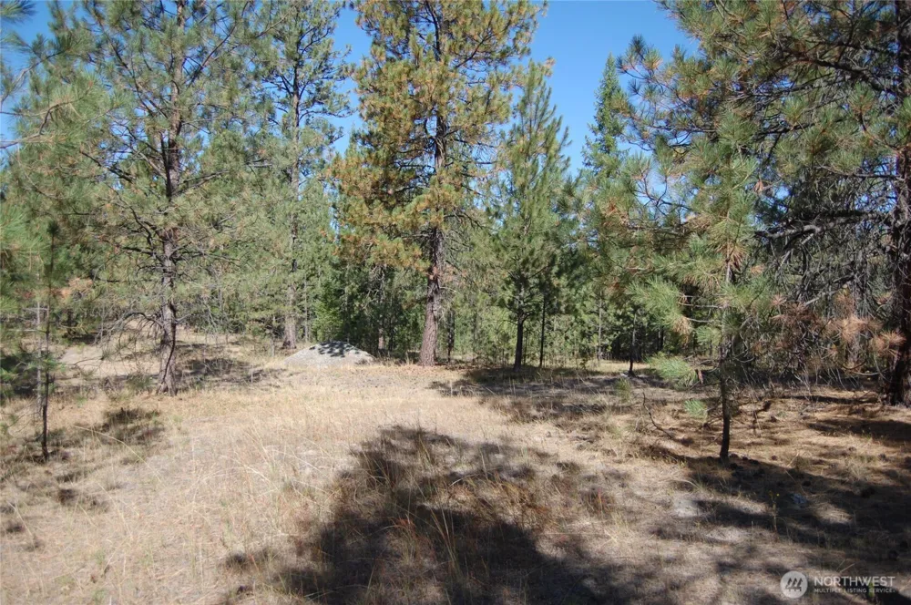 144 Cheif Joseph Trail Riverside, WA 98849