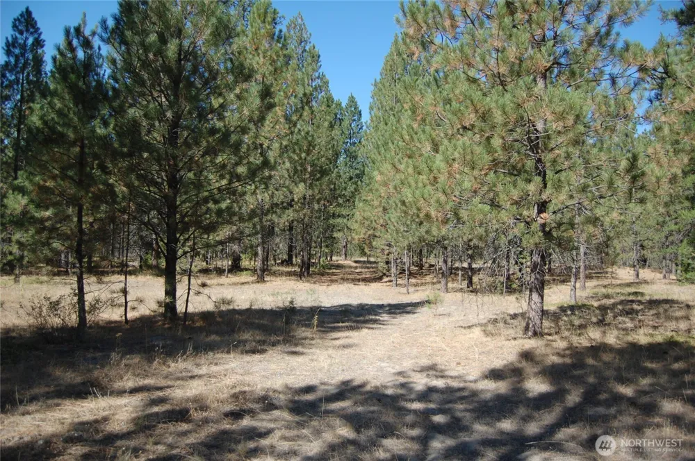 144 Cheif Joseph Trail Riverside, WA 98849