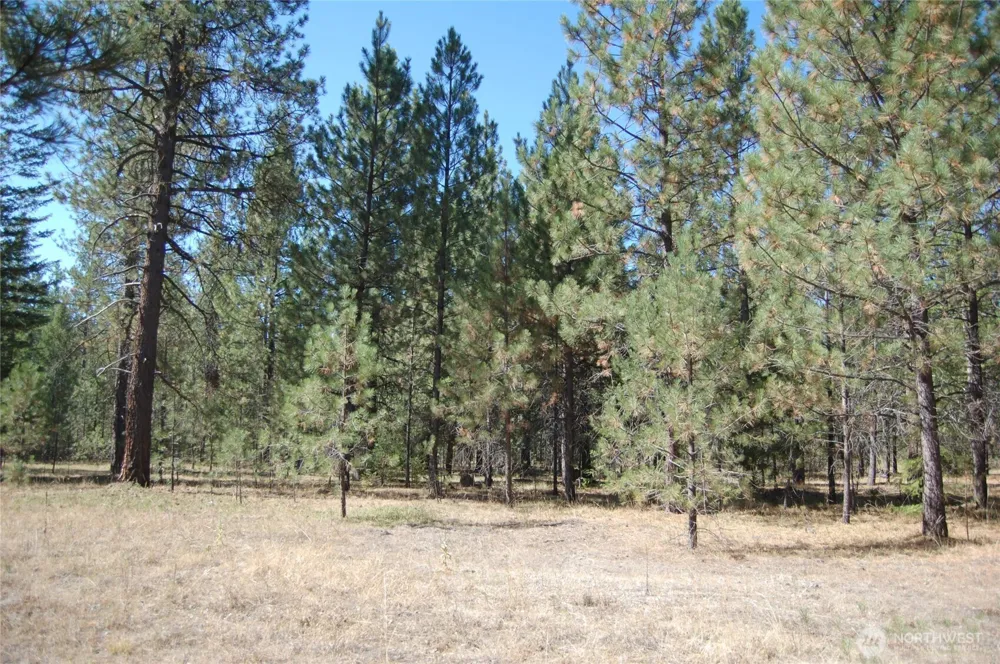144 Cheif Joseph Trail Riverside, WA 98849
