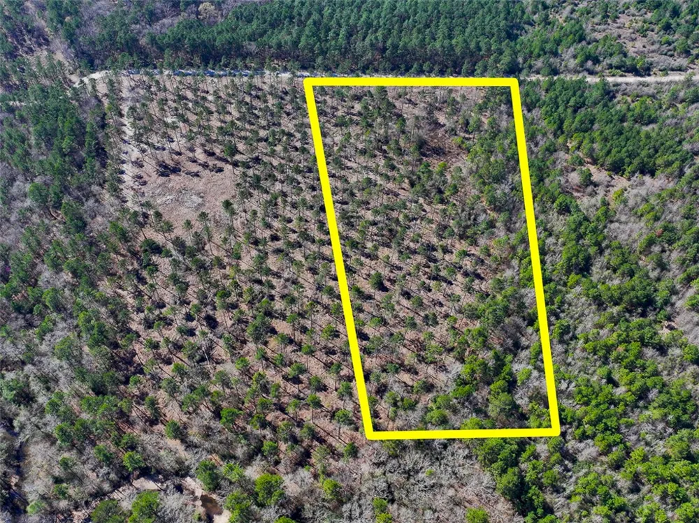 1 Boontown Road Trinity, TX 75845