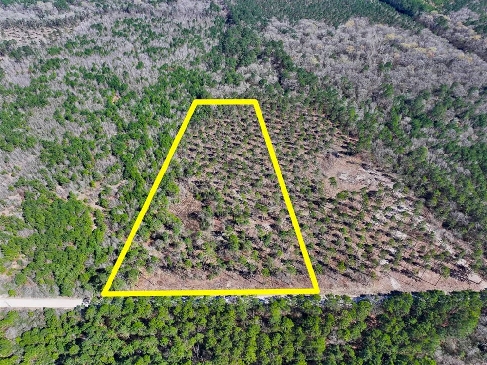 1 Boontown Road Trinity, TX 75845