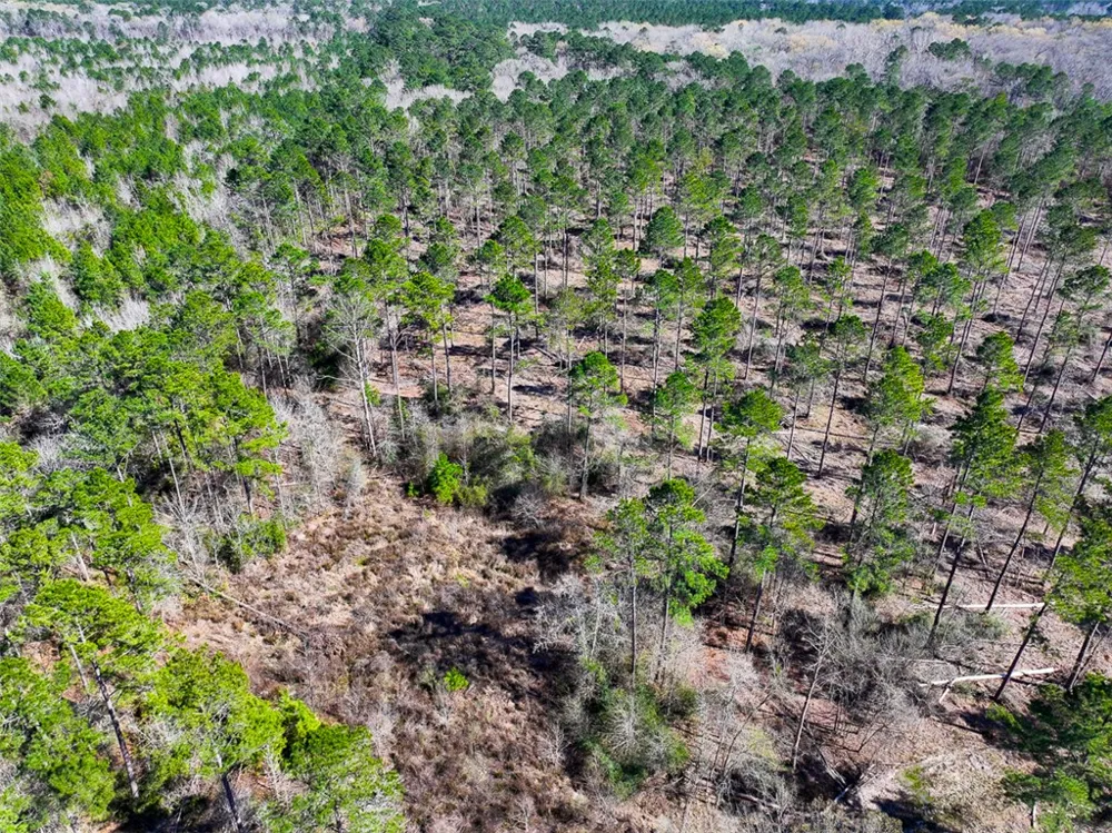 1 Boontown Road Trinity, TX 75845