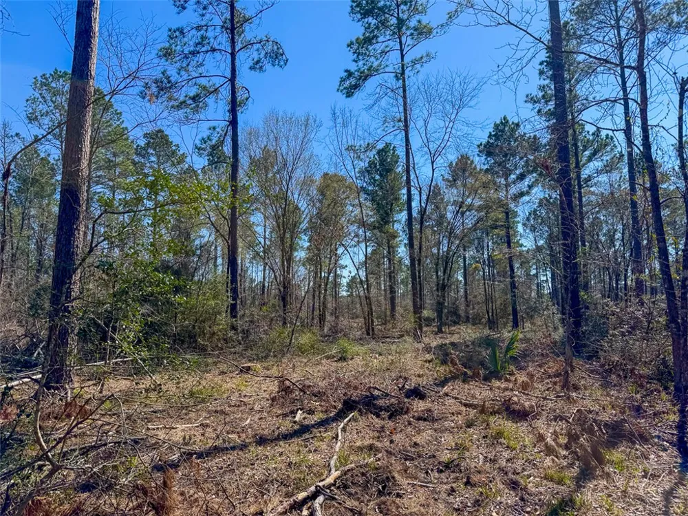1 Boontown Road Trinity, TX 75845
