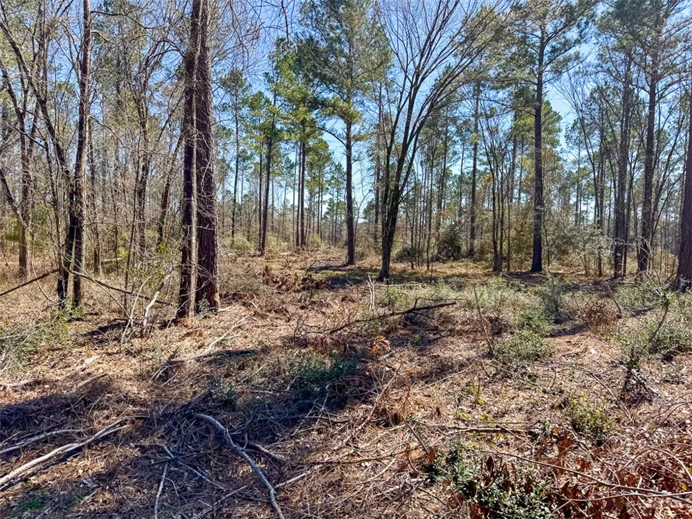 1 Boontown Road Trinity, TX 75845