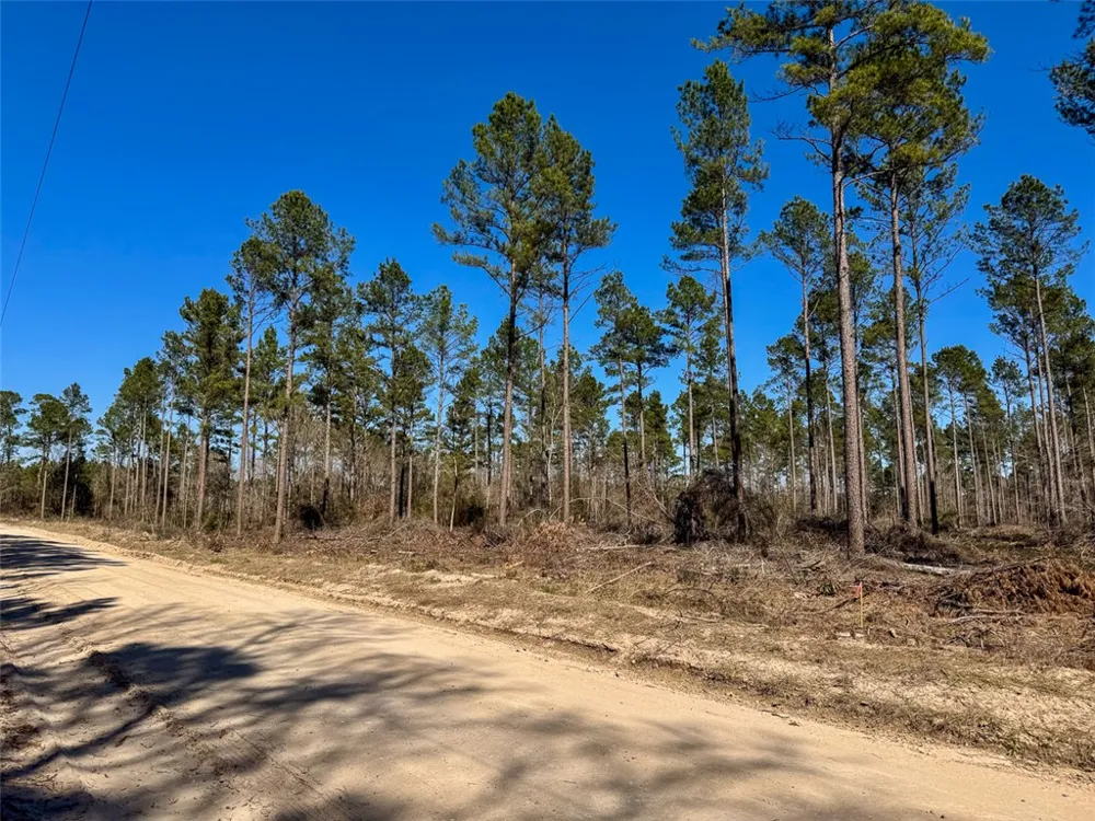 1 Boontown Road Trinity, TX 75845