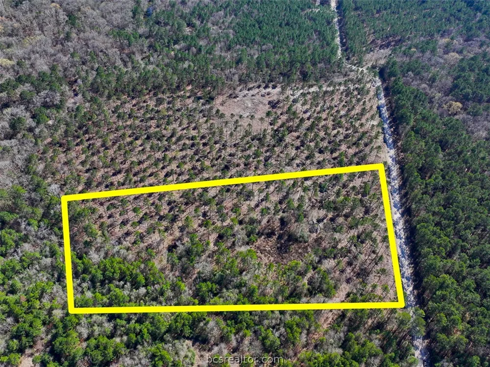 1 Boontown Road Trinity, TX 75845