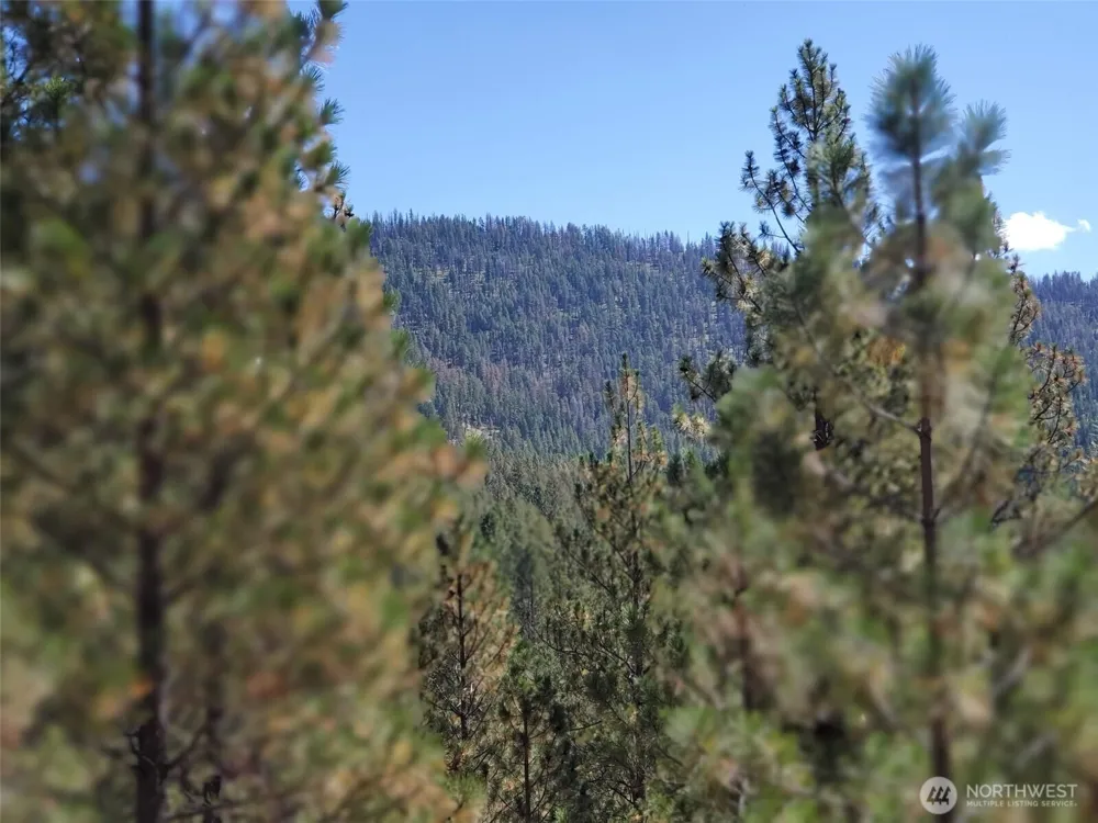 0 Long Horn Trail Riverside, WA 98849