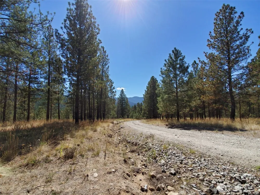 0 Long Horn Trail Riverside, WA 98849