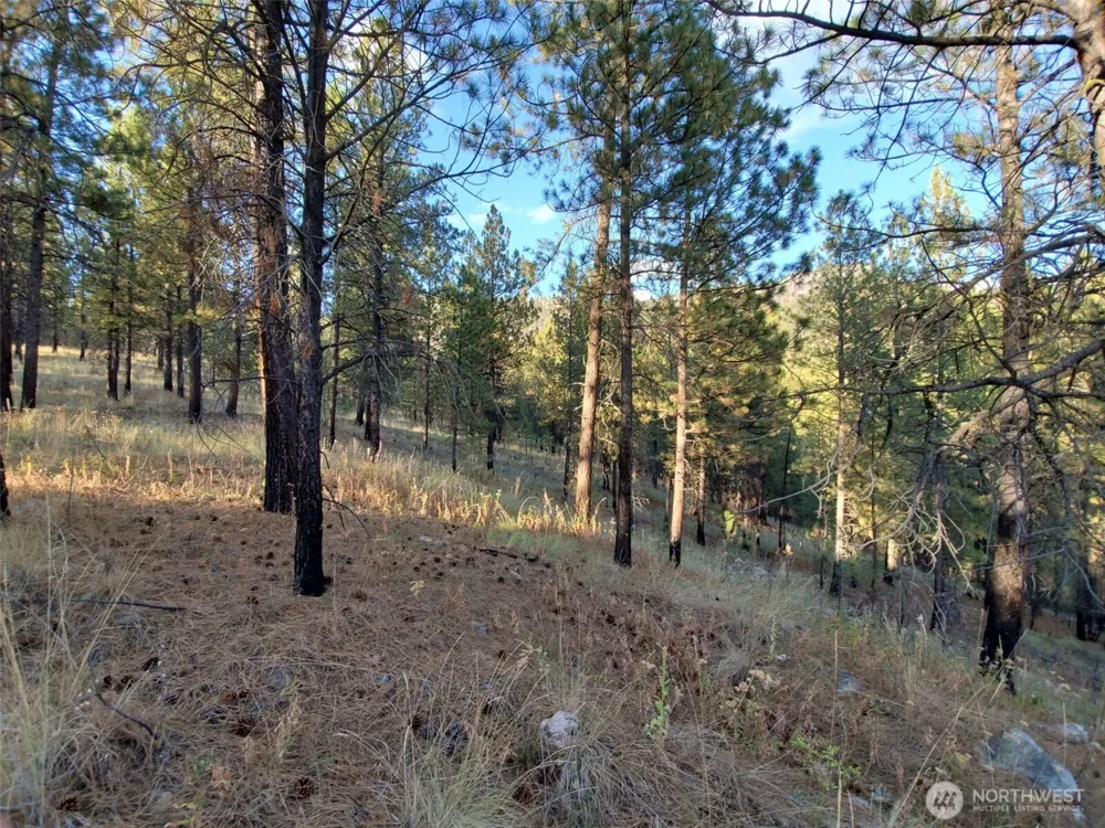 0 Long Horn Trail Riverside, WA 98849